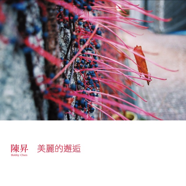 美丽的邂逅-陈升