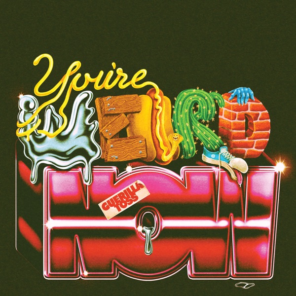 You’re Weird Now - Guerilla Toss